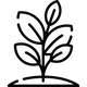 Full-Spectrum Plant Blend